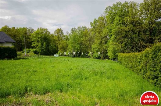 Działka budowlana na sprzedaż Mogilany, Żary 3 055m2 Foto 4