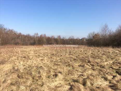 Działka inna na sprzedaż Kalwaria Zebrzydowska 9 600m2 Foto 3