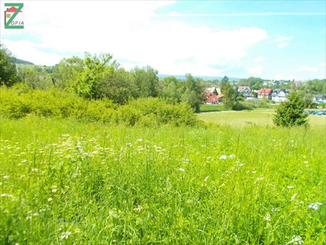 Działka budowlana na sprzedaż RABKA-ZDRÓJ 9 232m2 Foto 2