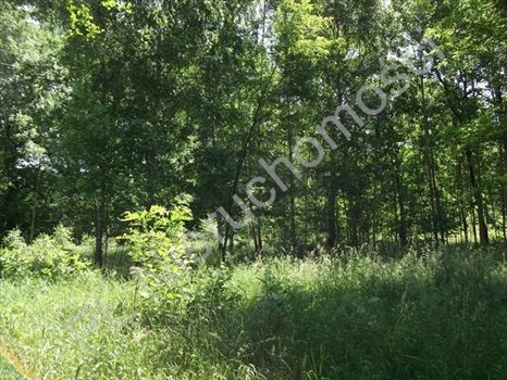 Działka budowlana na sprzedaż Książenice 1 600m2 Foto 2