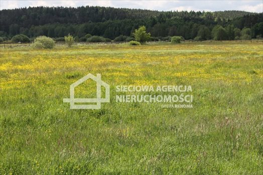 Działka budowlana na sprzedaż Lubowidz 1 005m2 Foto 4