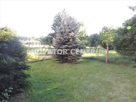 Dom na sprzedaż Brzoza 65m2 Foto 7