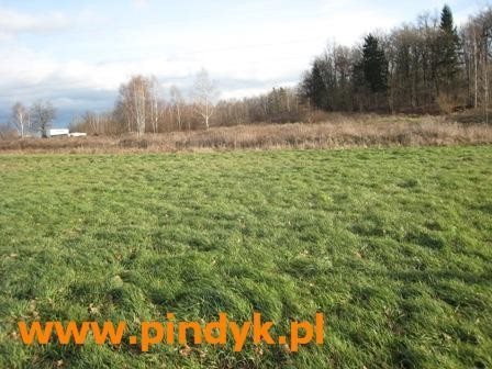 Działka budowlana na sprzedaż polska, Staniszów 1 724m2 Foto 7