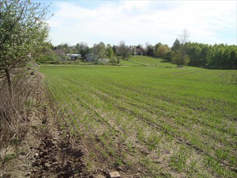 Działka budowlana na sprzedaż Gogolewo 1 550m2 Foto 4