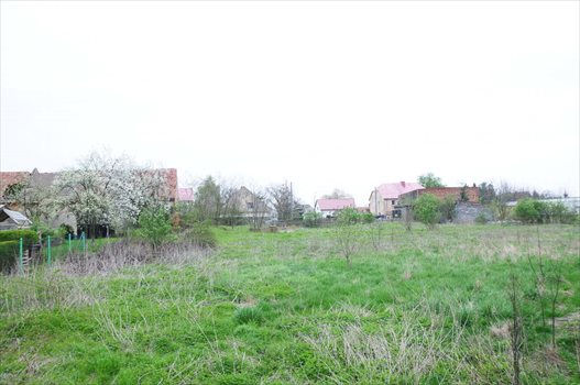 Działka budowlana na sprzedaż Rogów Sobócki 2 902m2 Foto 5