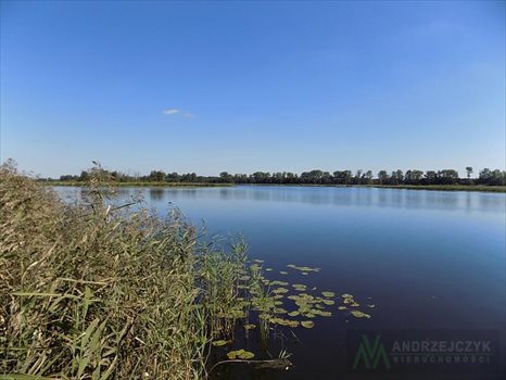Działka inna na sprzedaż Trzepowo, Trzepowo, Trzepowo 1 644m2 Foto 3