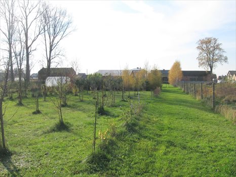 Dom na sprzedaż Skierniewice 240m2 Foto 12