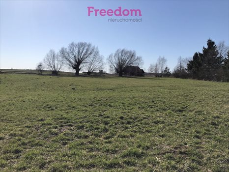 Działka inna na sprzedaż Krzywe 7 900m2 Foto 8