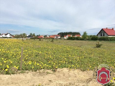 Działka rolna na sprzedaż Bojano, Diamentowa 3 000m2 Foto 1