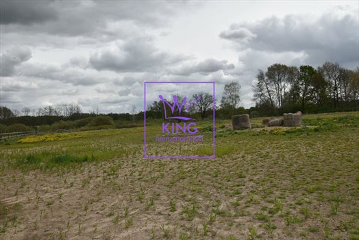 Lokal użytkowy na sprzedaż Rożnowo Nowogardzkie 120 000m2 Foto 6