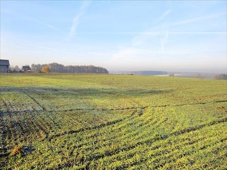 Działka inna na sprzedaż Golęczewo, Suchy Las 16 695m2 Foto 4