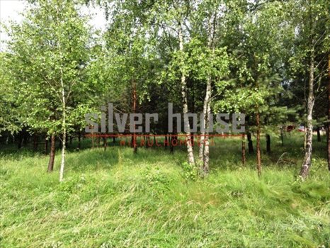 Działka budowlana na sprzedaż Puste Łąki 920m2 Foto 11