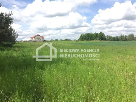 Działka budowlana na sprzedaż Trąbki Małe 3 800m2 Foto 3