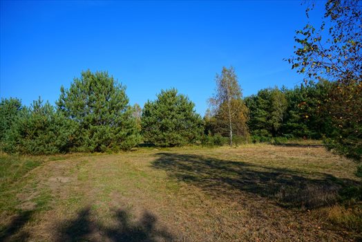 Działka budowlana na sprzedaż Jastrzębnik 1 500m2 Foto 9