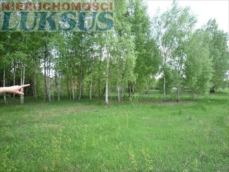 Działka inna na sprzedaż Many 12 200m2 Foto 8