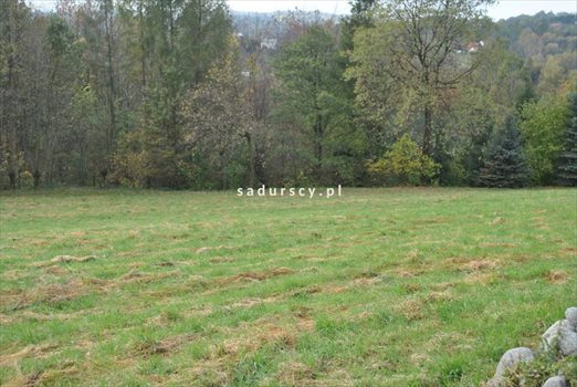 Działka budowlana na sprzedaż Siercza 4 700m2 Foto 6