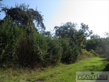 Dom na sprzedaż Błażowa Górna 120m2 Foto 7