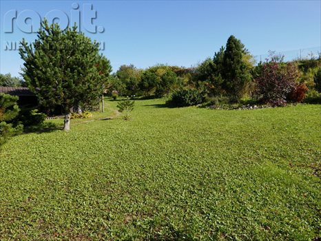Działka budowlana na sprzedaż Włosań 3 794m2 Foto 7