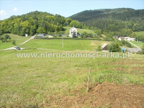 Działka budowlana na sprzedaż Kłodne 1 800m2 Foto 6