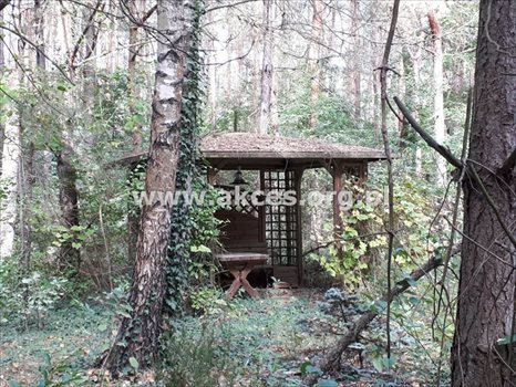 Działka budowlana na sprzedaż Prace Duże 3 000m2 Foto 6