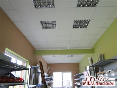 Lokal użytkowy na wynajem Ciechocinek 150m2 Foto 1