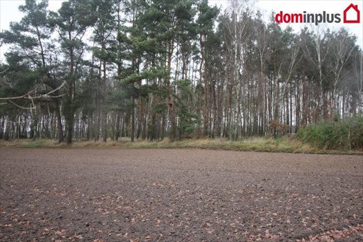 Działka inna na sprzedaż Zławieś Mała 3 005m2 Foto 5