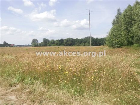 Działka rolna na sprzedaż Pawłówka 71 900m2 Foto 4