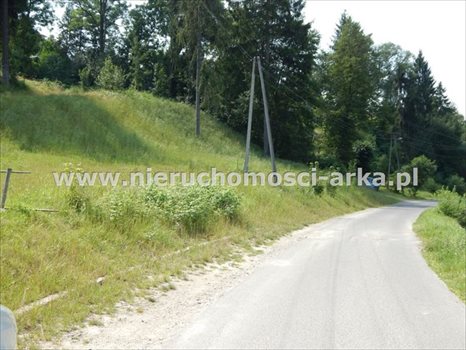 Działka budowlana na sprzedaż Rabka-Zdrój 6 900m2 Foto 3