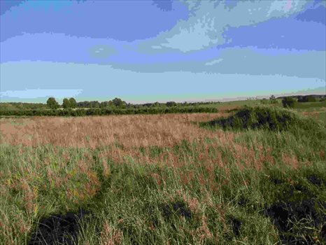 Działka komercyjna na sprzedaż Zakrzewo 18 000m2 Foto 4