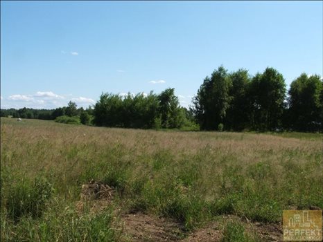 Działka inna na sprzedaż Kabikiejmy Dolne, Wieś, Kabikiejmy Dolne 5 000m2 Foto 2