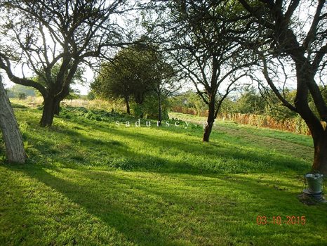 Działka budowlana na sprzedaż Kraków, Zwierzyniec, Olszanica, Pod Skałą 2 031m2 Foto 2