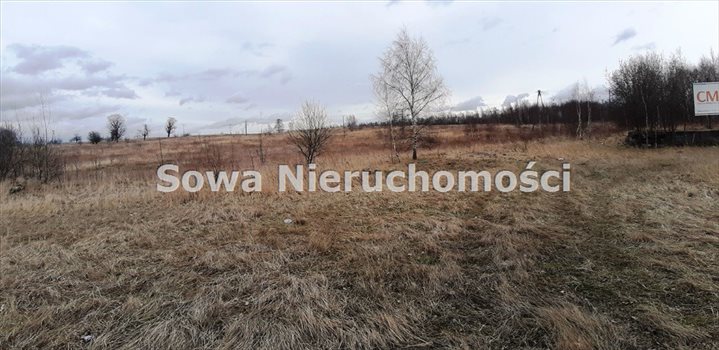 Działka inna na sprzedaż Wałbrzych, Biały Kamień 8 563m2 Foto 12