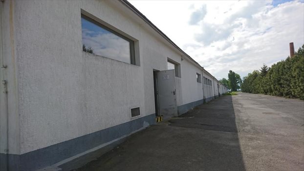 Działka komercyjna na sprzedaż Borek Strzeliński 67 600m2 Foto 4
