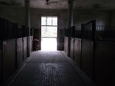 Lokal użytkowy na sprzedaż Leszno Dolne 1 200m2 Foto 5