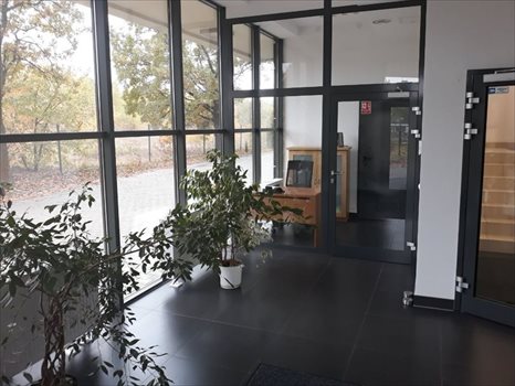 Lokal użytkowy na wynajem Łódź, Widzew 5 500m2 Foto 4