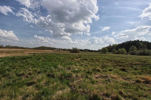 Działka rolna na sprzedaż Kołczewo 22 223m2 Foto 5