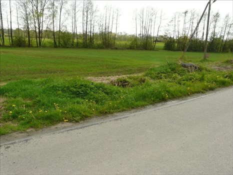 Działka inna na sprzedaż Majdan Krasieniński, Niemce 2 184m2 Foto 4