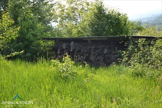 Działka budowlana na sprzedaż Kraków, Zwierzyniec 2 960m2 Foto 7
