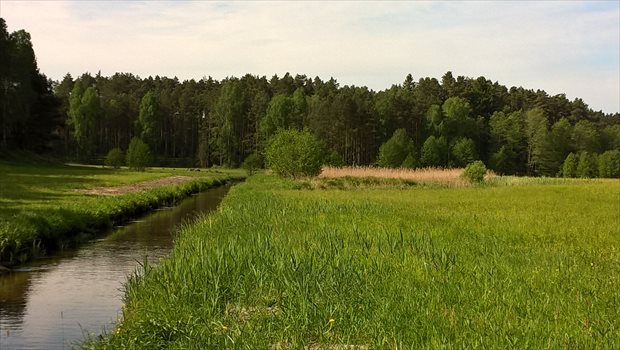 Działka budowlana na sprzedaż Bory Tucholskie, Nad Rzeką, Duże Krówno 4 973m2 Foto 3