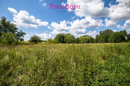 Działka budowlana na sprzedaż Boguchwała, Partyzantów 4 700m2 Foto 2