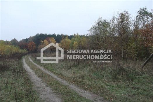 Działka leśna na sprzedaż Stare Gronowo 49 000m2 Foto 3