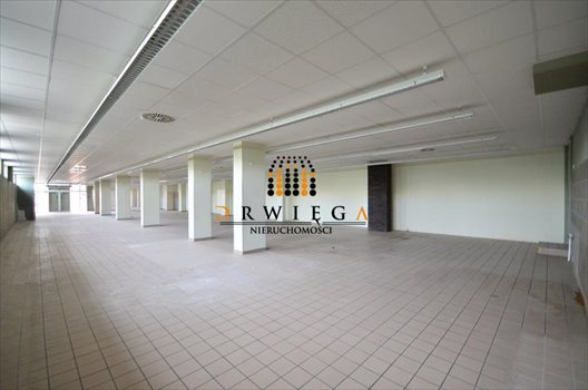 Lokal użytkowy na wynajem Gorzów Wielkopolski, Górczyn 985m2 Foto 2