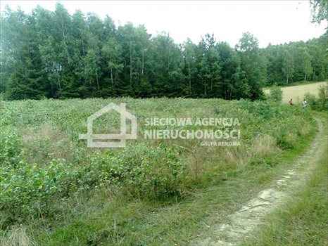 Działka rekreacyjna na sprzedaż Gołubie 1 090m2 Foto 3