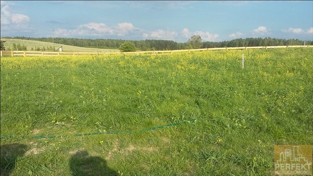 Działka budowlana na sprzedaż Zawady, Zawady, Zawady 4 277m2 Foto 5