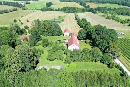 Dom na sprzedaż Węgorzewo, Łuczańska 631m2 Foto 5