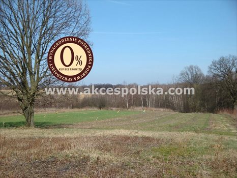 Działka inna na sprzedaż Kazimierz Dolny, Góry 3 300m2 Foto 11