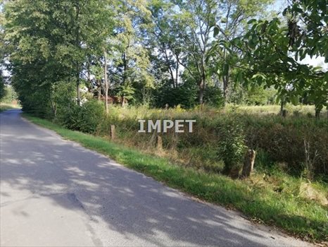 Działka inna na sprzedaż Jerzmanki 4 592m2 Foto 1