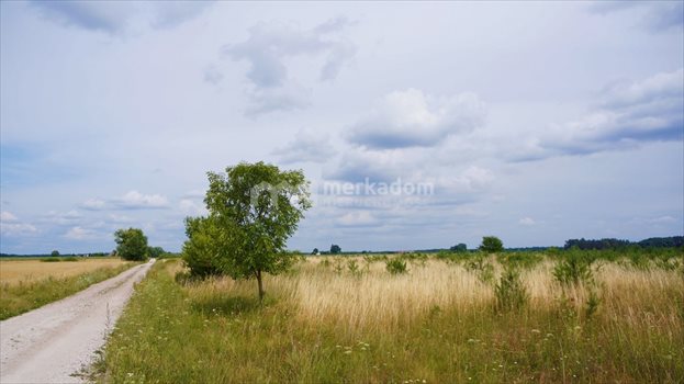 Działka rolna na sprzedaż Grzybowo 21 116m2 Foto 2