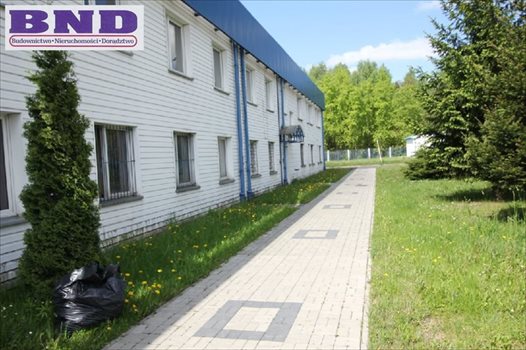 Lokal użytkowy na sprzedaż Siemianowice Śląskie 1 100m2 Foto 1