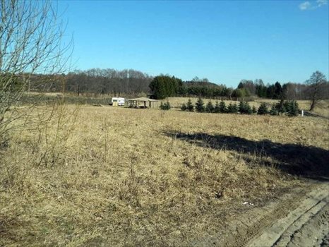 Działka rolna na sprzedaż Kamionki 3 079m2 Foto 8